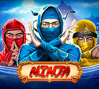 The Ninja